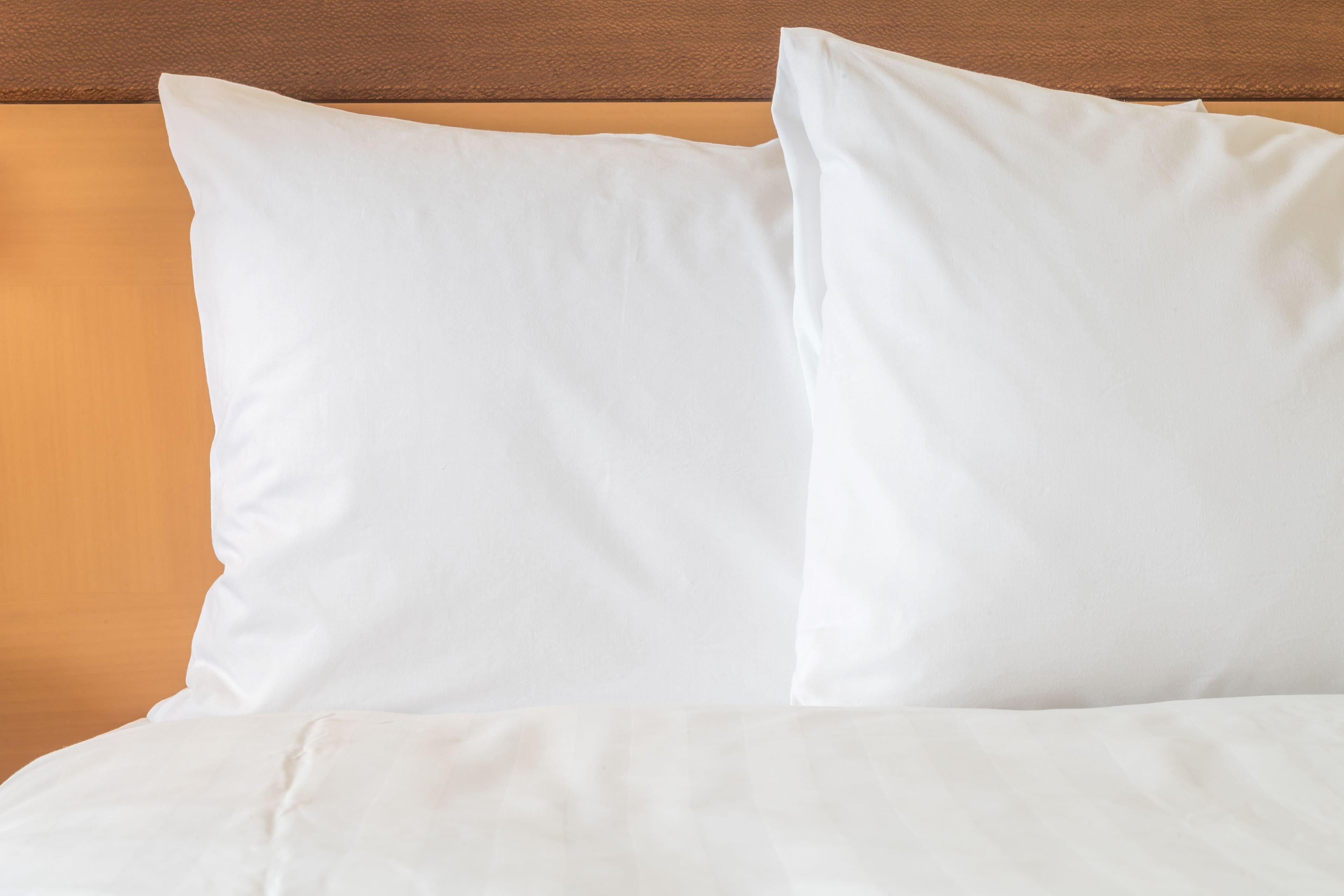 Holiday Inn Express Hotel & Suites Rochester By Ihg Extérieur photo